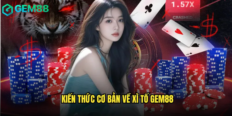 Làm Chủ Xì Tố gem88 Với Phong Cách Chơi Chuyên Nghiệp 2 Kiến thức cơ bản về Xì tố gem88